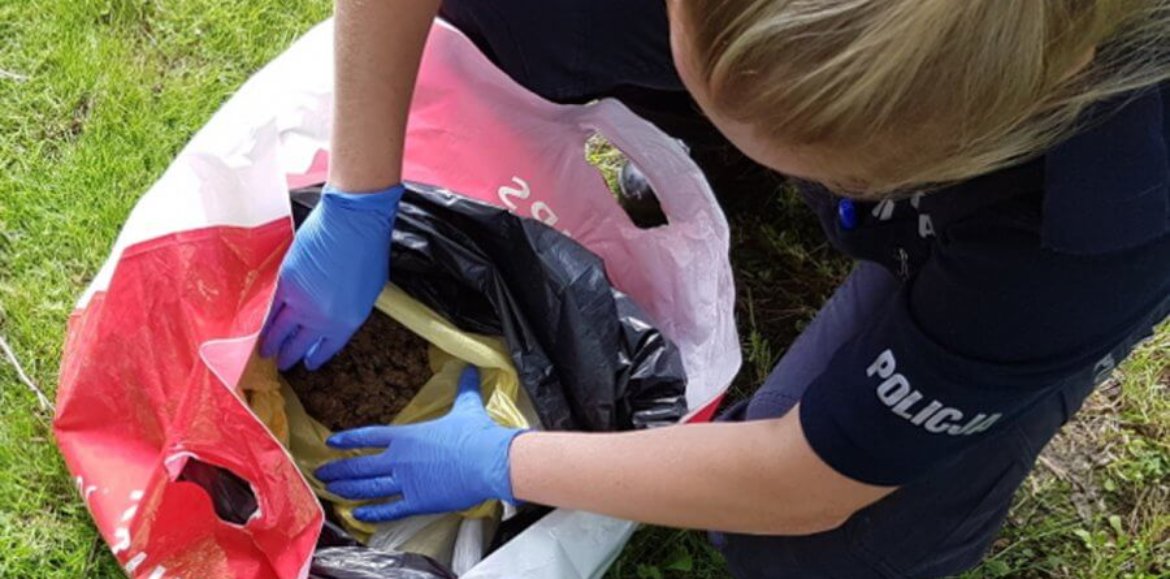 PRAWIE 2 KG MARIHUANY, ZATRZYMANY TRAFIŁ DO ARESZTU NA 3 MIESIĄCE