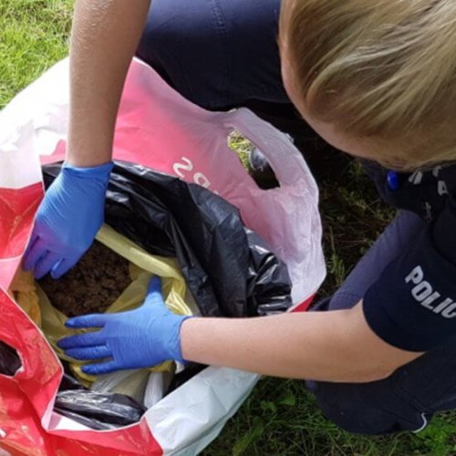 PRAWIE 2 KG MARIHUANY, ZATRZYMANY TRAFIŁ DO ARESZTU NA 3 MIESIĄCE