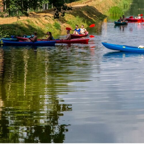 Daj się ponieść nurtowi przygody – ruszaj na kajaki do Pomorskiego!