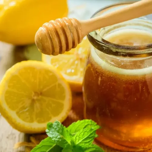 Miód z nostrzyka – jak działa i dla kogo jest najlepszy?